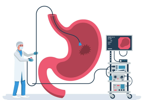 Gastroenterologista em Maringá: Navegando pelos Caminhos da Saúde Digestiva