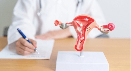 Especialista em Endometriose em Curitiba: Tratamentos Avançados com o Dr. Willian Teruo
