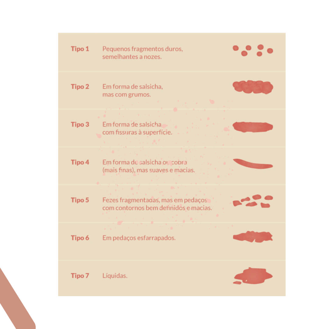 Saiba que o tipo de fezes identifica sua saúde nutricional e do intestino
