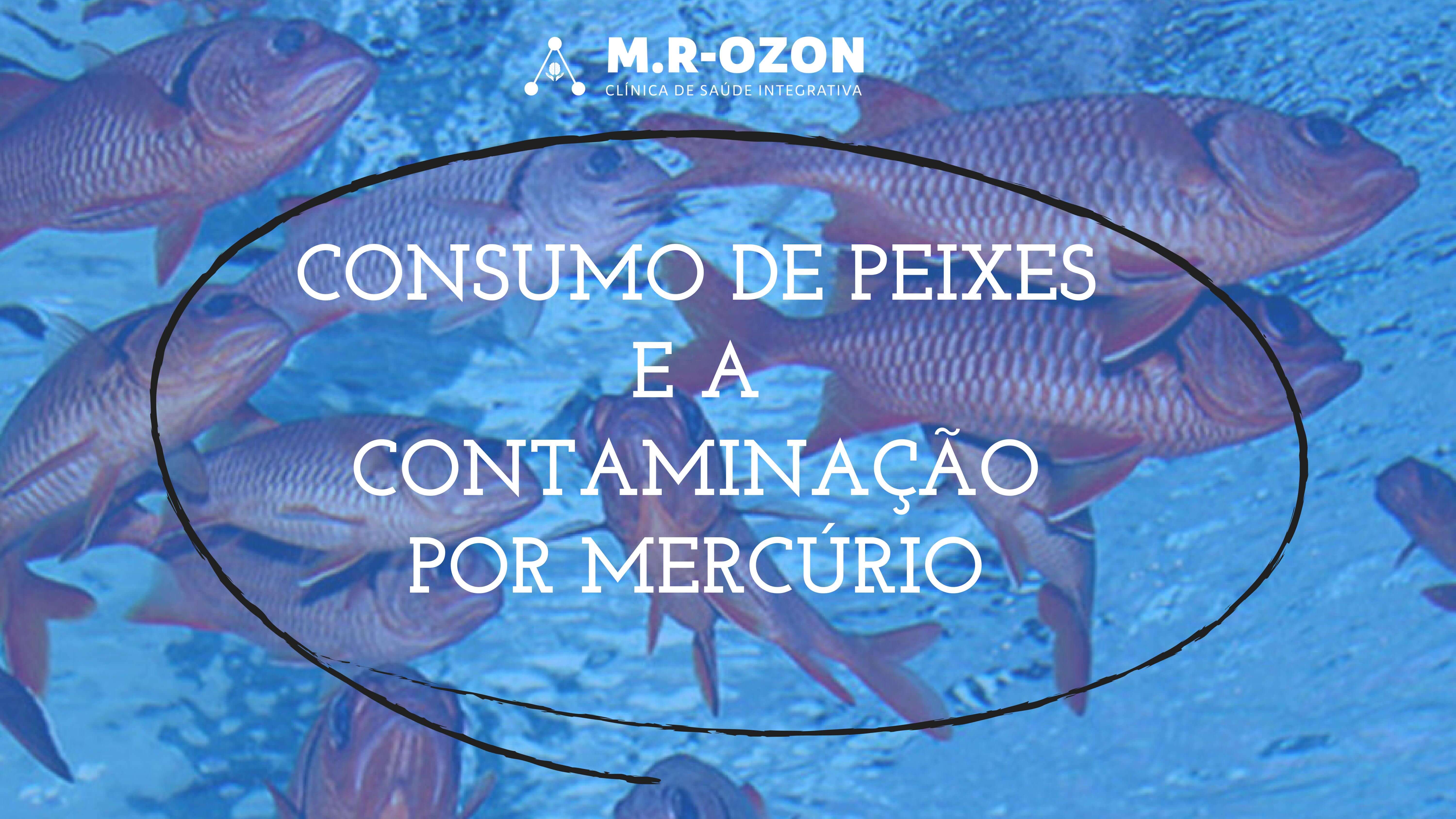 CONSUMO DE PEIXES E A CONTAMINAÇÃO POR MERCÚRIO
