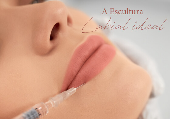 A Escultura Labial ideal