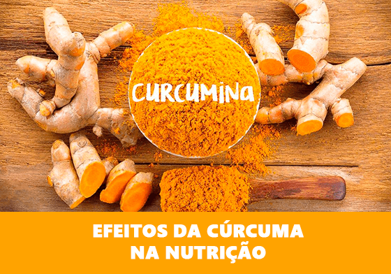 EFEITOS DA CÚRCUMA NA NUTRIÇÃO