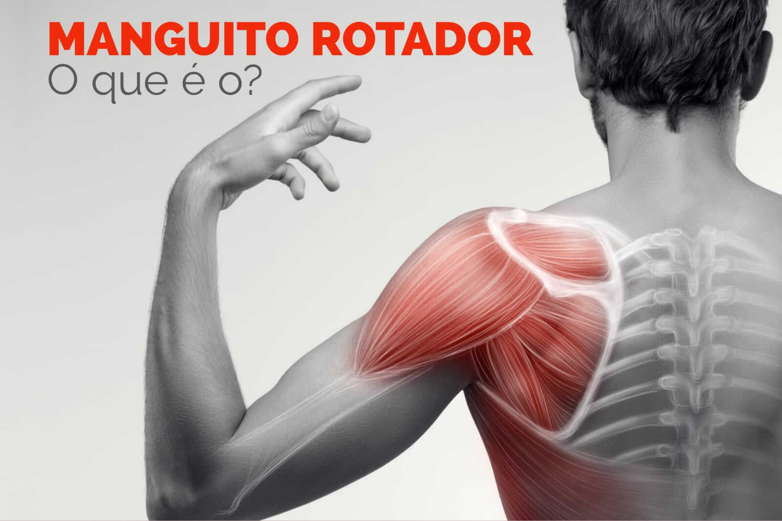 O que é o manguito rotador?