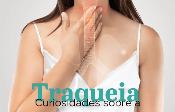 Curiosidades sobre a traqueia