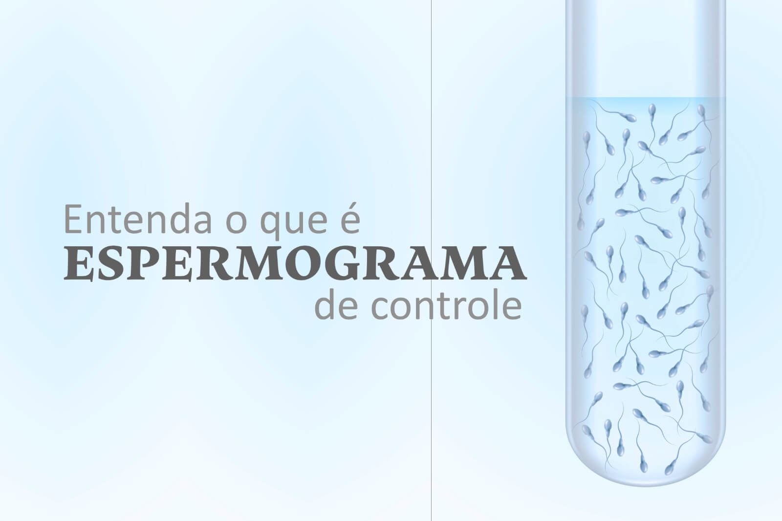 Entenda o que é espermograma de controle