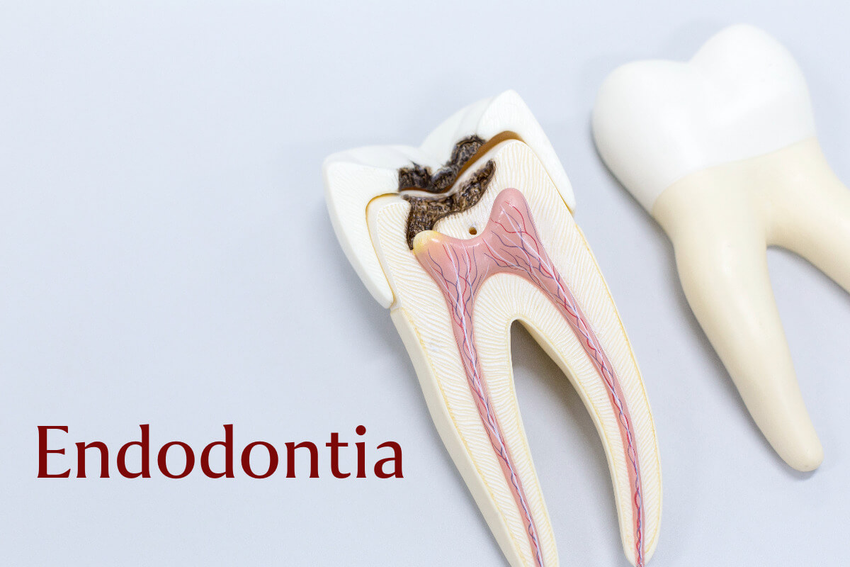 Endodontia