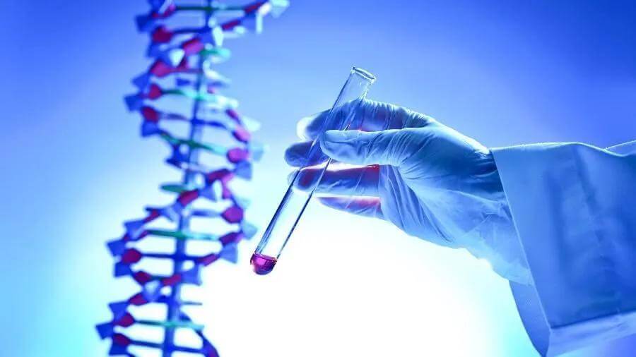 Full DNA: conheça o exame genético que pode te ajudar a prever o futuro