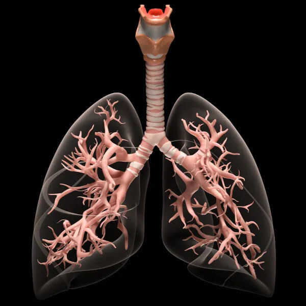 Tratamento Avançado para Bronquiolite Obliterante em Maringá: Entenda Causas, Sintomas e Opções Terapêuticas