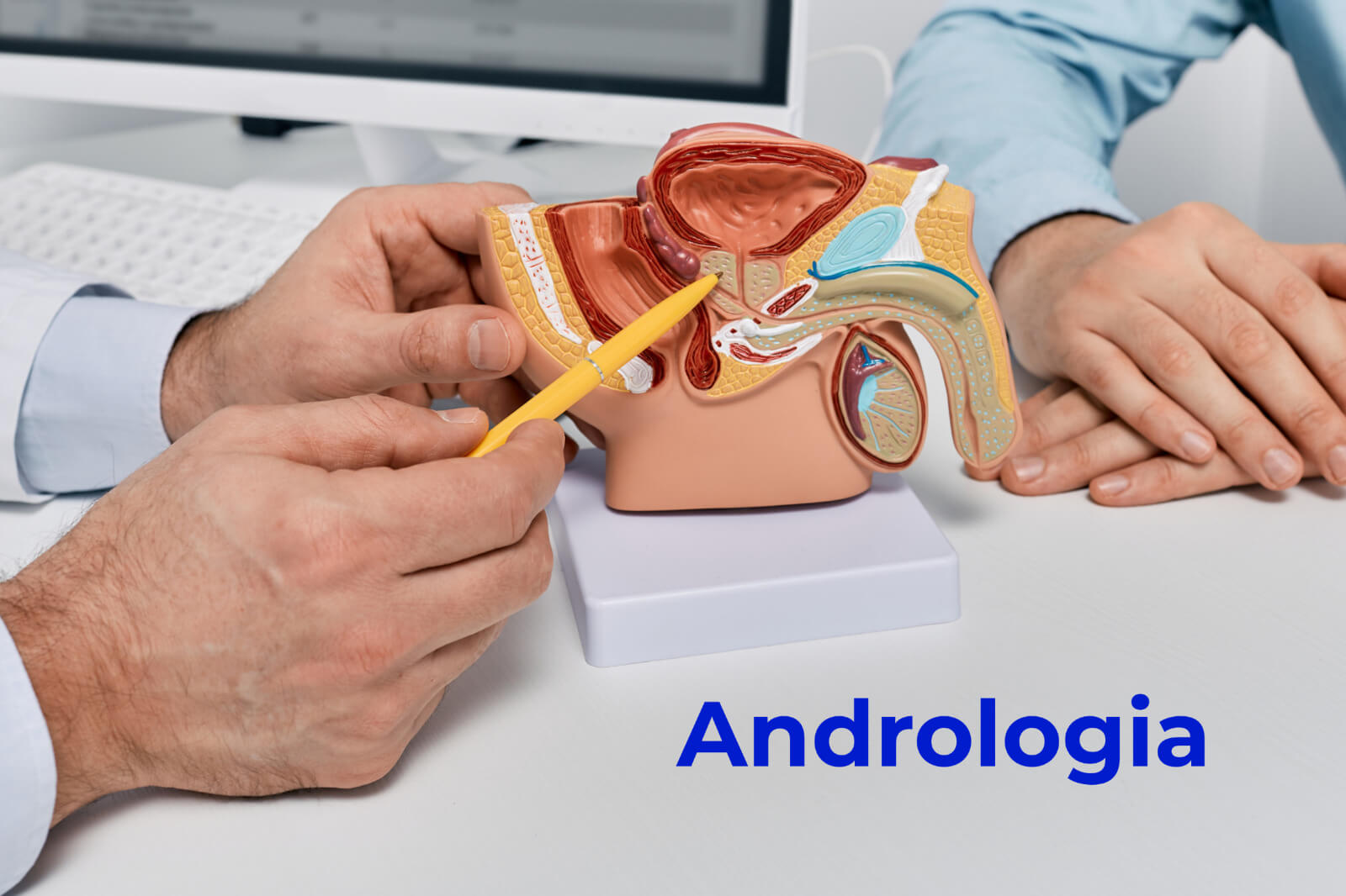 Quais são as principais condições tratadas na andrologia? - Urologista Maringá