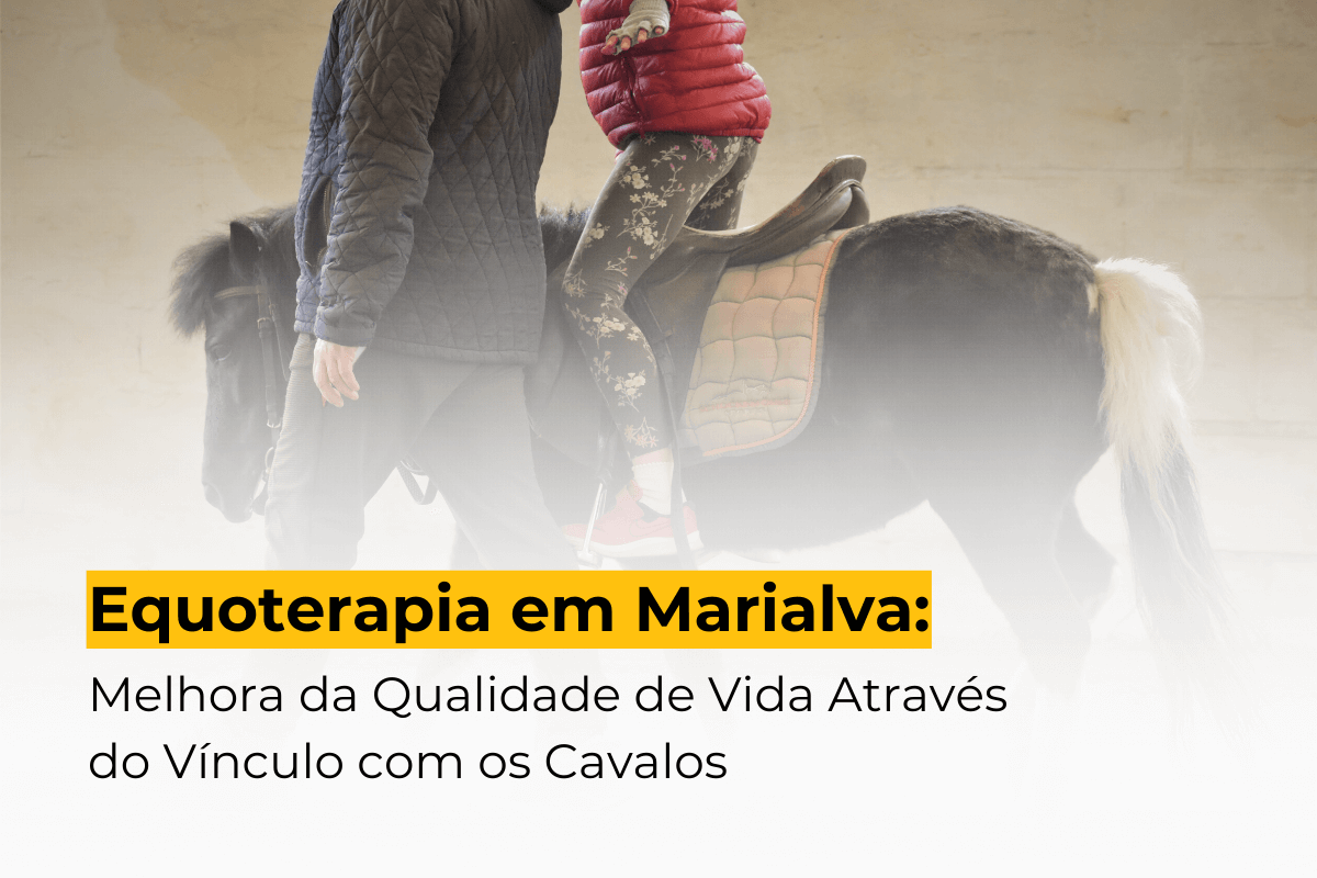 Equoterapia em Marialva: Melhora da Qualidade de Vida Através do Vínculo com os Cavalos