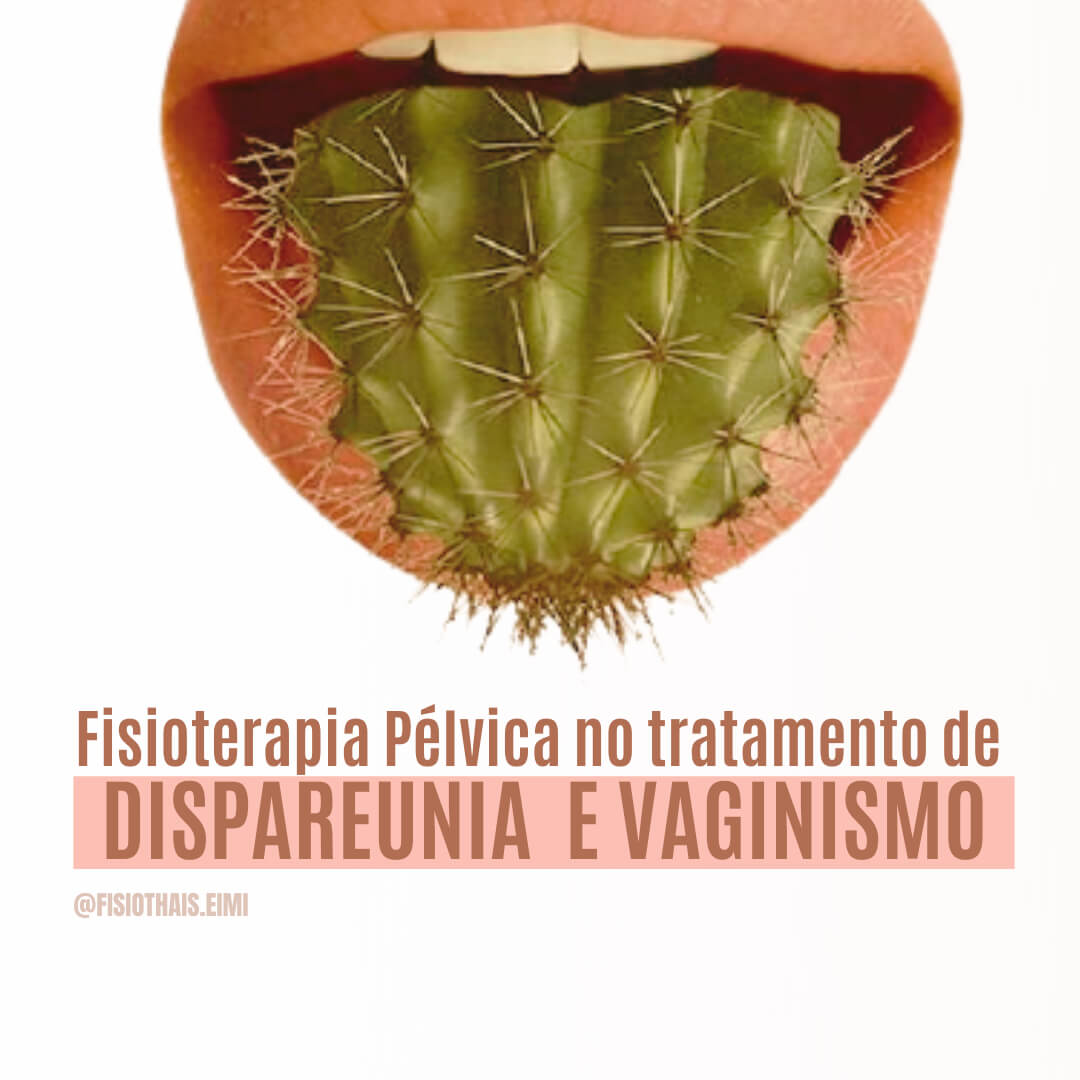 Fisioterapia pélvica no tratamento de dispareunia e vaginismo